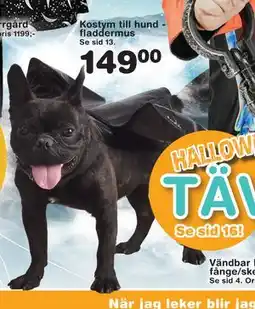 Lekextra Kostym till hund fladdermus, SEK 149 erbjuda