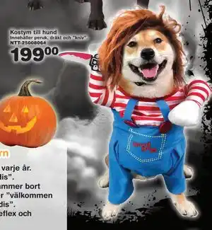 Lekextra Kostym till hund, SEK 199 erbjuda