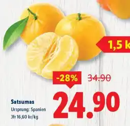 Lidl Satsumas erbjuda