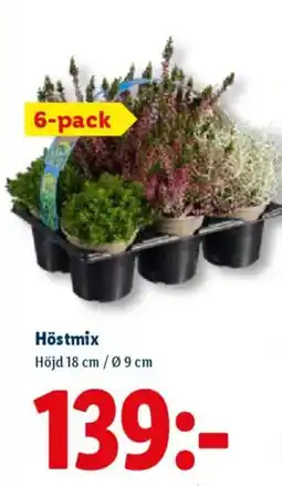 Lidl Höstmix erbjuda