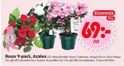 ICA Supermarket Rosor, Azalea erbjuda