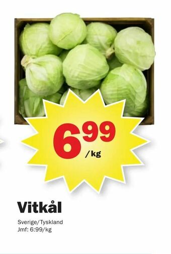 Pekås Vitkål erbjuda