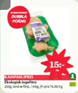 Östenssons Ekologisk ingefära erbjuda