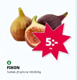Tempo Fikon erbjuda
