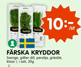 Tempo Färska kryddor erbjuda