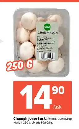 Coop Extra Champinjoner i ask., SEK 14.9 erbjuda