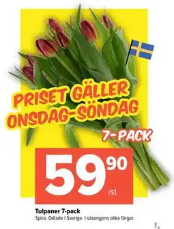 Coop Extra Tulpaner 7-pack, SEK 59.9 erbjuda