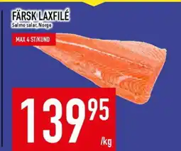 Matdax Färsk laxfile salmo salar, norge erbjuda