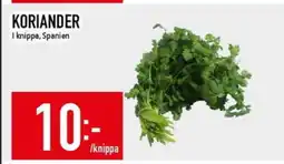 Matdax Koriander erbjuda