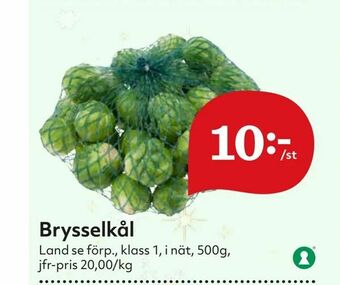 Brysselkål