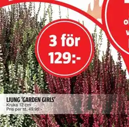 Bauhaus LJUNG ’GARDEN GIRLS’, SEK 129 erbjuda