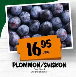 Bazaar Food market Plommon/sviskon erbjuda