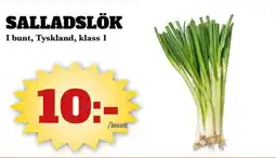 Bonum Matmarknad Salladslök erbjuda