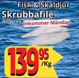 Supergrossen Fisk & Skaldjur Skrubbafilé erbjuda