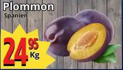 Supergrossen Plommon Spanien erbjuda