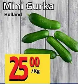 Supergrossen Holland Mini Gurka erbjuda