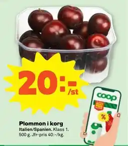 Stora Coop Plommon i korg, SEK 20 erbjuda