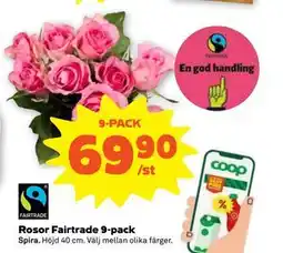 Stora Coop Rosor Fairtrade 9-pack, SEK 69.9 erbjuda