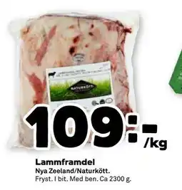 Stora Coop Lammframdel, SEK 109 erbjuda