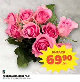 Coop Rosor fairtrade 10-pack erbjuda