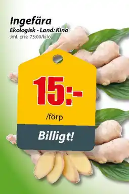 Extra Mjällby Stormarknad Ingefära erbjuda