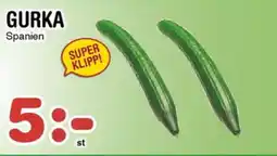 Nya Pulsen Gurka erbjuda