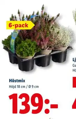 Lidl Höstmix, SEK 139 erbjuda