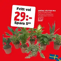 Jem&Fix Gröna växter mix erbjuda