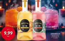 Nielsen Discount Kopparberg gin erbjuda