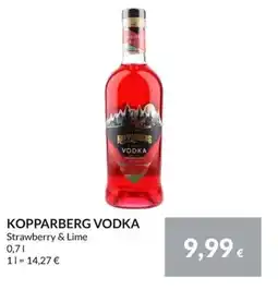 Nielsen Discount Kopparberg vodka erbjuda