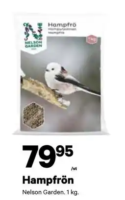 City Gross Hampfrön, SEK 79.95 erbjuda