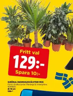 Jem&Fix Gröna inomhusväxter mix erbjuda