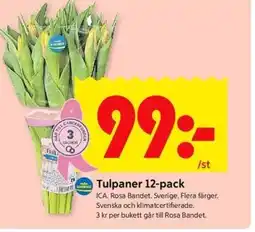 ICA Kvantum Tulpaner erbjuda