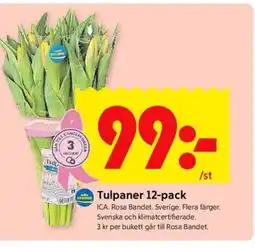ICA Kvantum Tulpaner erbjuda