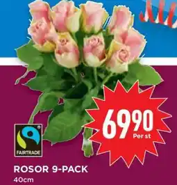 Willys ROSOR 9-PACK erbjuda