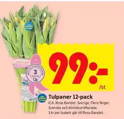 ICA Supermarket TULPANER 12-PACK erbjuda