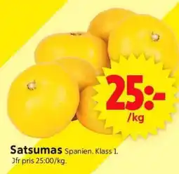 ICA Supermarket Satsumas erbjuda