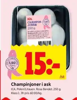 ICA Supermarket CHAMPINJONER I ASK erbjuda