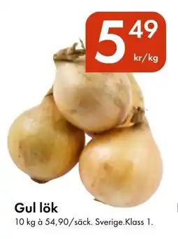 Snabbgross Gul lök erbjuda