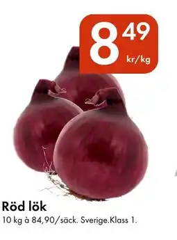 Snabbgross Röd lök erbjuda