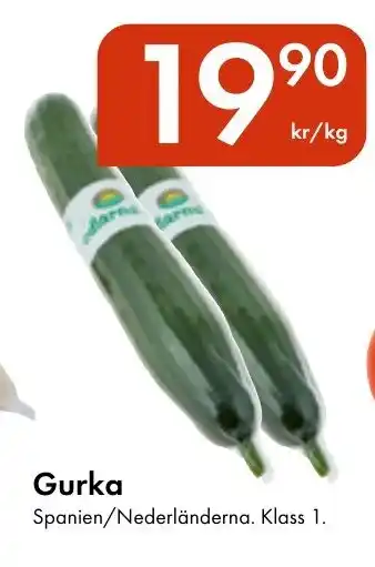 Snabbgross Gurka erbjuda