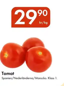 Snabbgross Tomat erbjuda