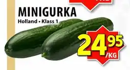 Matvärlden Tensta MINIGURKA, SEK 24.95 erbjuda