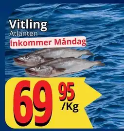 Supergrossen Vitling, SEK 69.95 erbjuda
