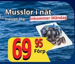 Supergrossen Musslor i nät, SEK 69.95 erbjuda