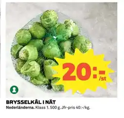 Coop Daglivs BRYSSELKÅL I NÄT, SEK 20 erbjuda