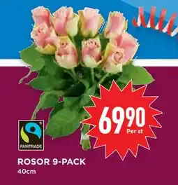 Willys Hemma ROSOR 9-PACK, SEK 69.9 erbjuda