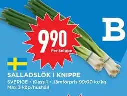 Willys Hemma SALLADSLÖK I KNIPPE, SEK 9.9 erbjuda
