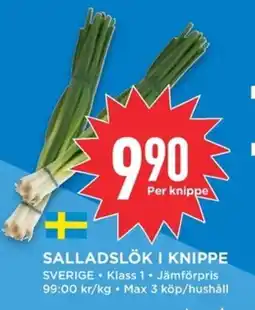 Willys Salladslök i knippe erbjuda