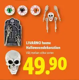 Lidl LIVARNO HOME Halloweendekoration erbjuda